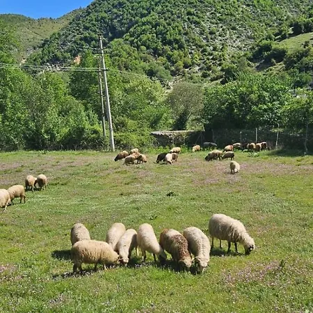 Golemi